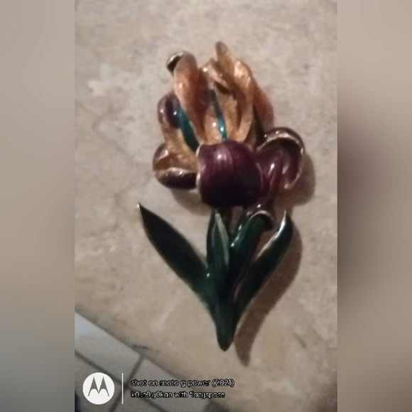 Boston MFA (Museum of Fine Arts) IRIS Enamel Brooch - Picture 12 of 13